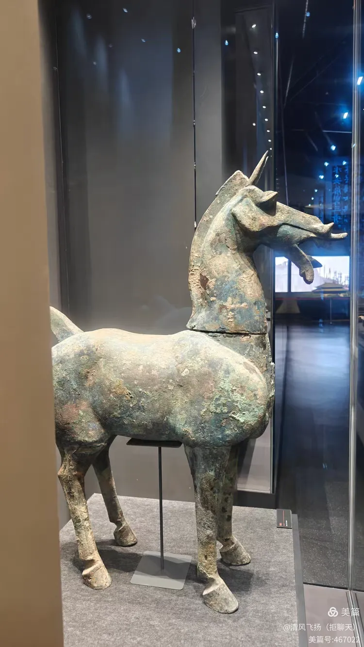 走进保定博物馆